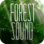 森林之声FOREST SOUND