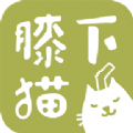 膝下猫app