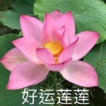 好運(yùn)蓮蓮