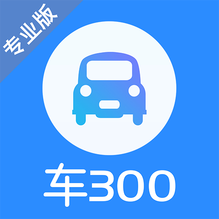 車300專業(yè)版