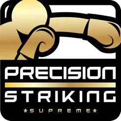 PrecisionBoxingCoachProiPhone版