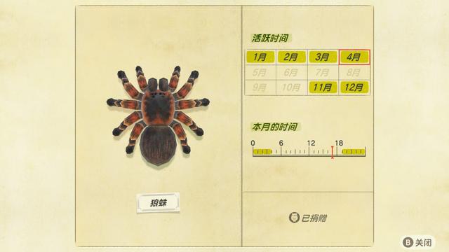 動(dòng)物森友會(huì)4月份北半球蟲類篇資料