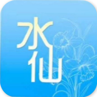 水仙轉(zhuǎn)