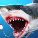 夏季釣魚v1.6.8