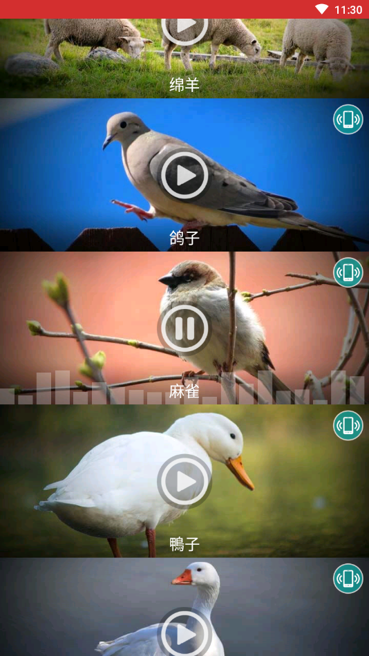 動(dòng)物鈴聲截圖1