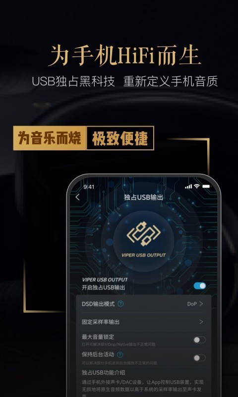 VIPER HiFi截圖4