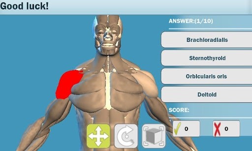 Easy Anatomy 3D截圖3