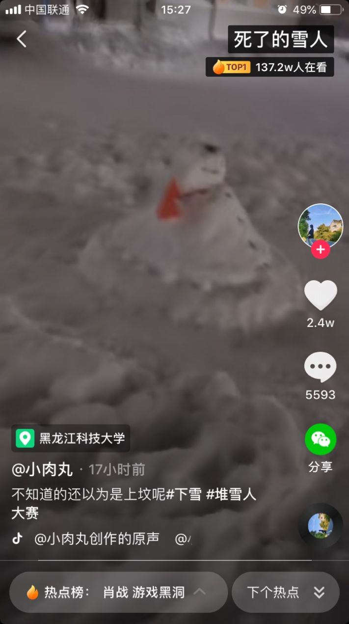 抖音死了的雪人圖片表情包截圖1