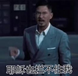 我一定要追到你表情包截圖3