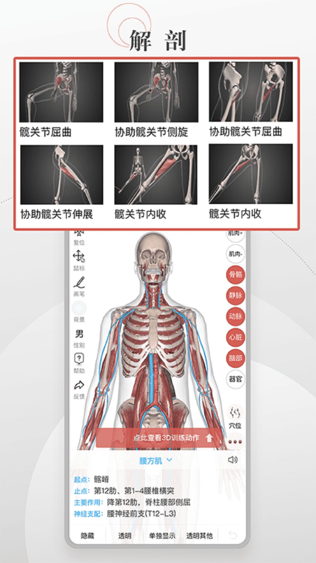 3D運動健康app截圖3