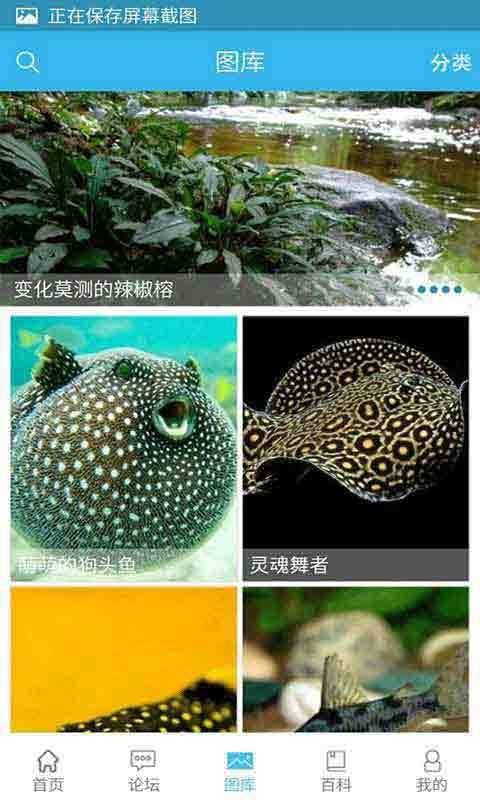 水族匯截圖3