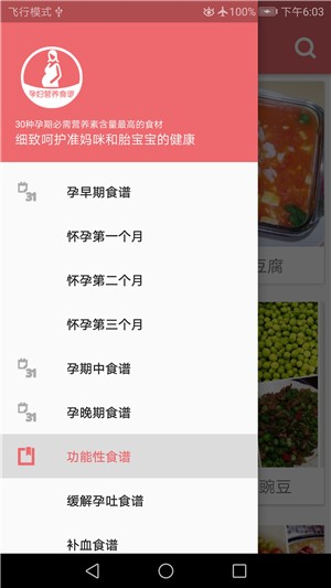 孕婦營養(yǎng)食譜截圖5