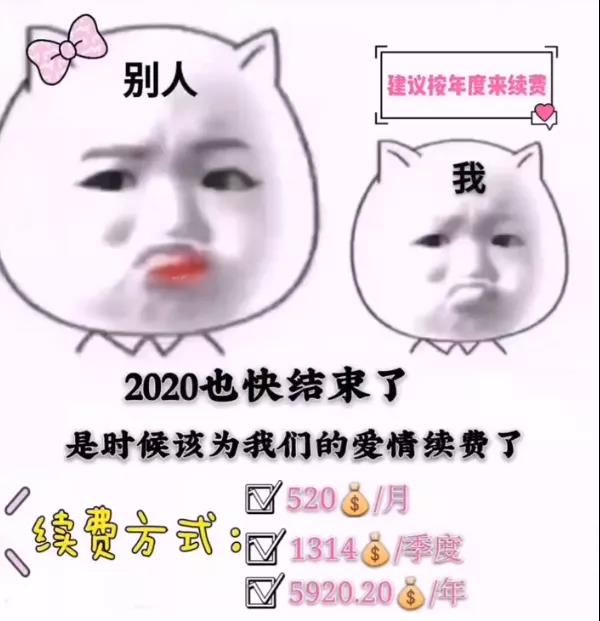 2020也快結(jié)束了是時候該為我們的愛情續(xù)費了表情包截圖4