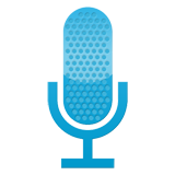 Easy Voice Recorder Pro