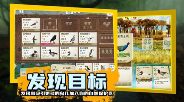 鳥類觀察家截圖2