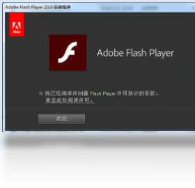 Adobe Flash Player 非IE版 - PPAPIPC版截圖1