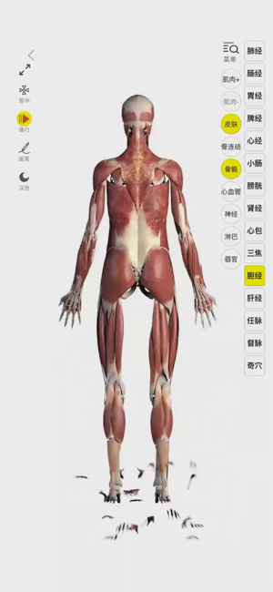 3Dbody解剖iPhone版截圖1