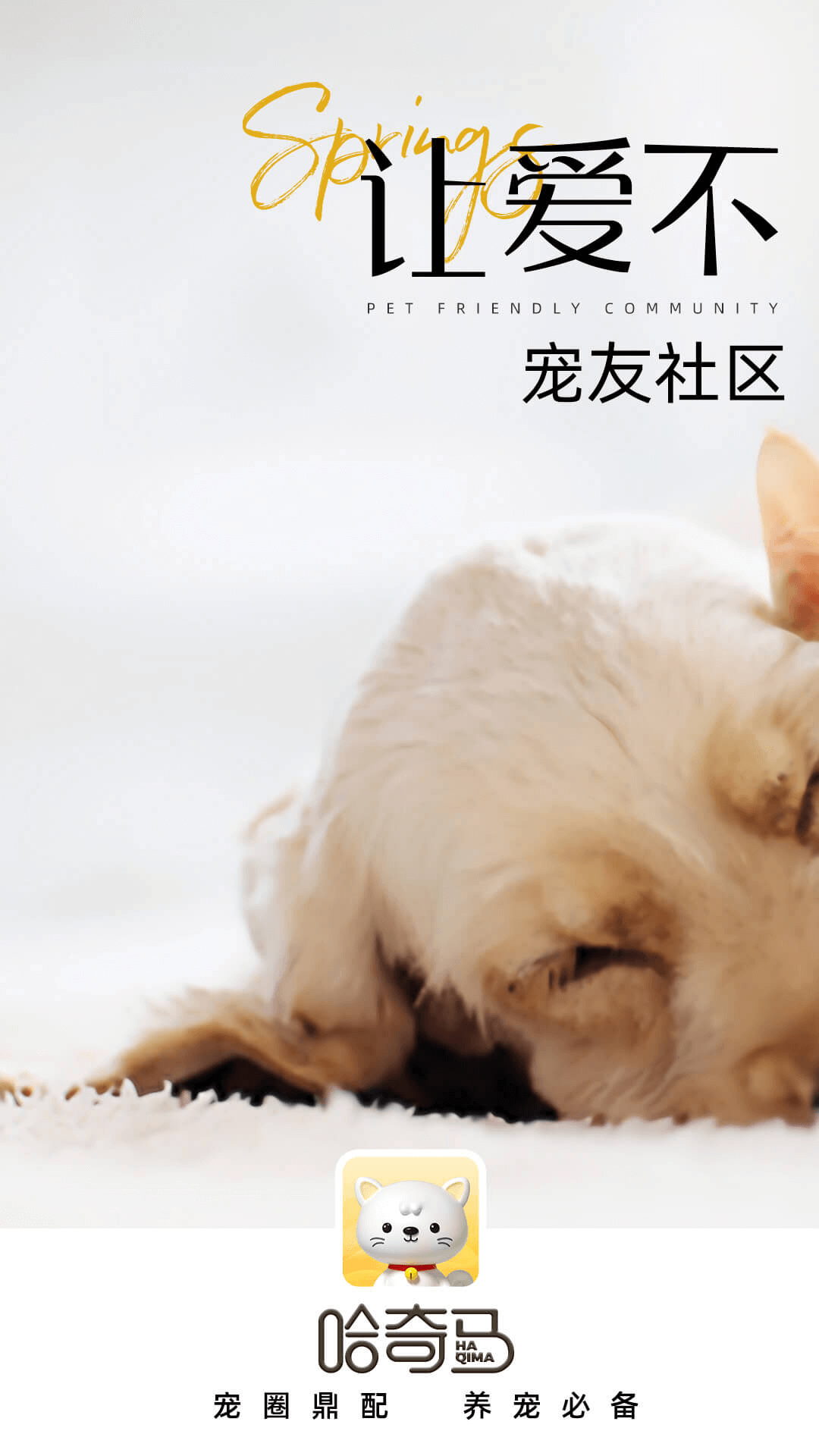 哈奇馬鴻蒙版截圖1