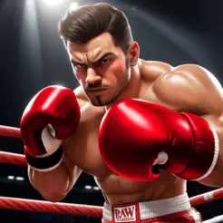 BoxingGames:KoKickboxingiPhone版