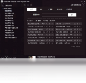 聽世界播放器PC版截圖1