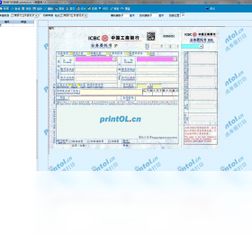 在線打印財(cái)務(wù)版PC版截圖3