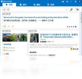 必應(yīng)詞典PC版截圖1