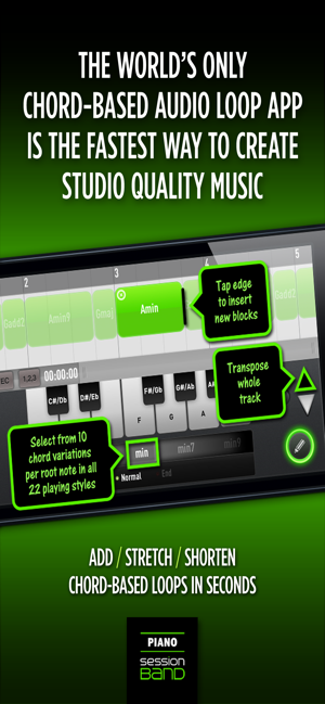 SessionBandPiano1iPhone版截圖2