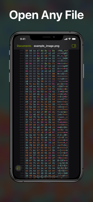 Hexer—HexFileVieweriPhone版截圖1