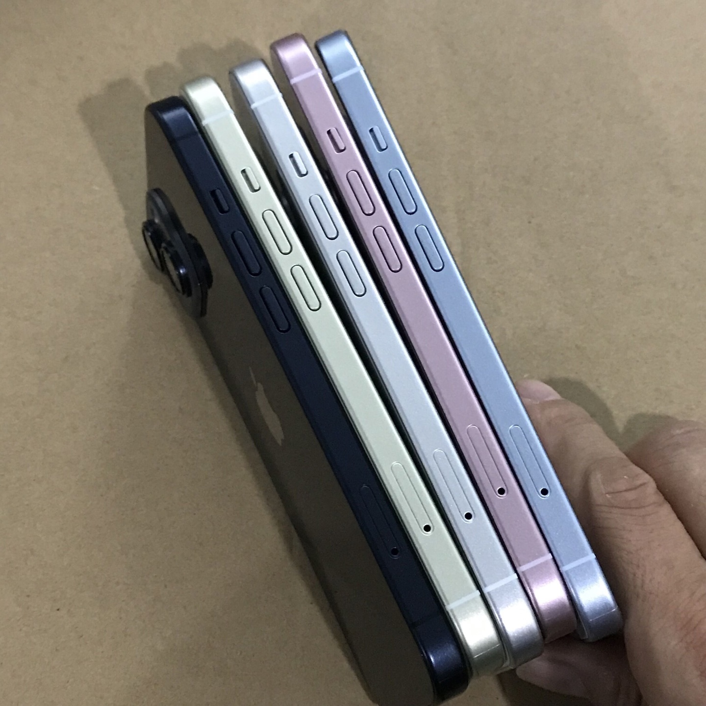 網(wǎng)友分享蘋果 iPhone 15/Pro 系列機(jī)模照片，展示多款配色