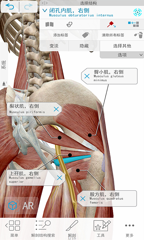 3D人體解剖鴻蒙版截圖2