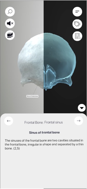 3DOsteologyiPhone版截圖10