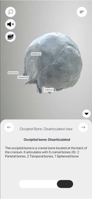 3DOsteologyiPhone版截圖2