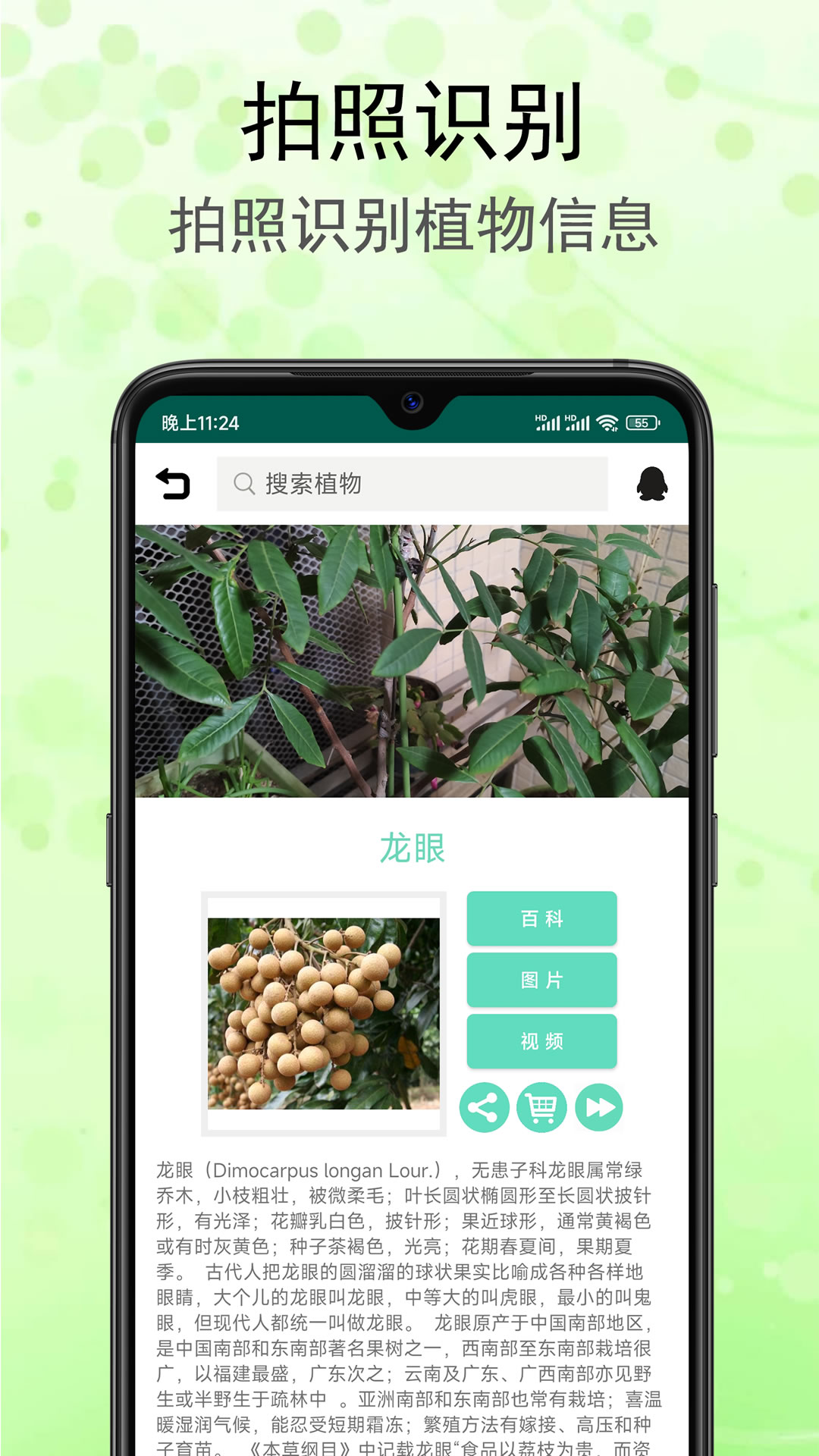 識(shí)花草鴻蒙版截圖1