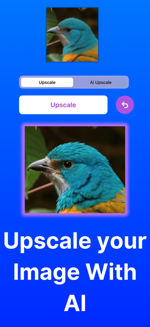 Upscale AI: HD Photo EnhanceriPhone版截圖2