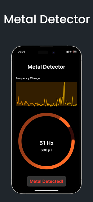 Metal DetectoriPhone版截圖4