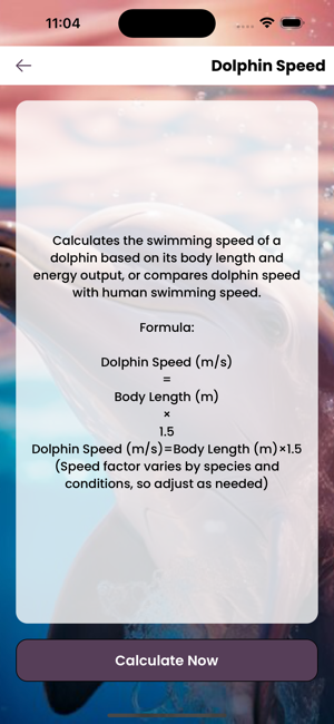 DolphinOceanSolveiPhone版截圖2