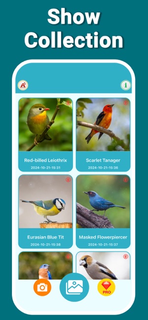 Bird Identifier WingIDiPhone版截圖3