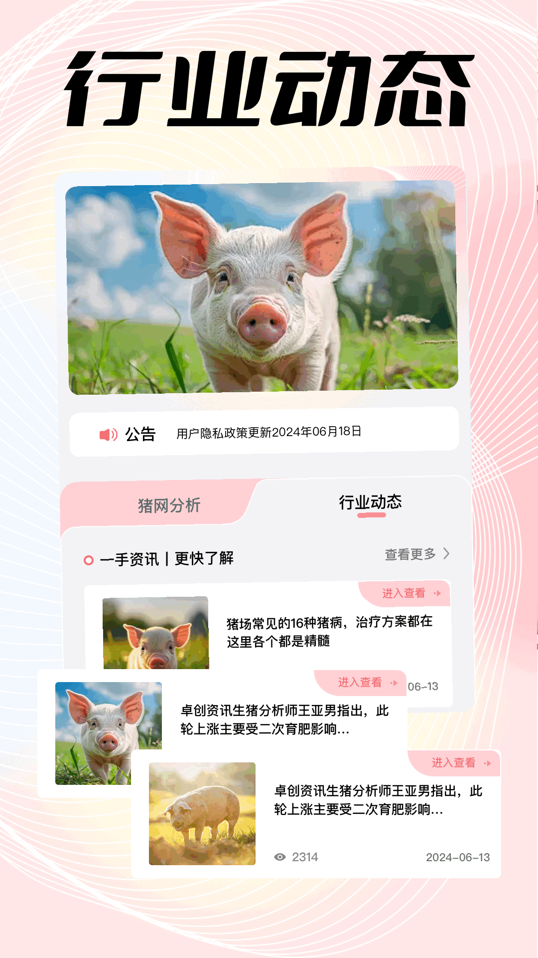 豬豬世界鴻蒙版截圖4