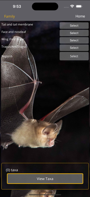 Field Guide to Australian BatsiPhone版截圖9