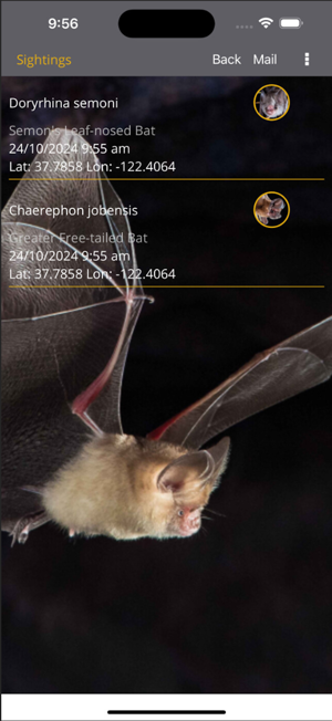 Field Guide to Australian BatsiPhone版截圖10